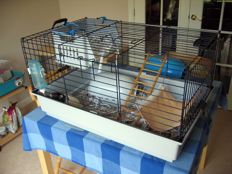 Pickle's new lower rat cage