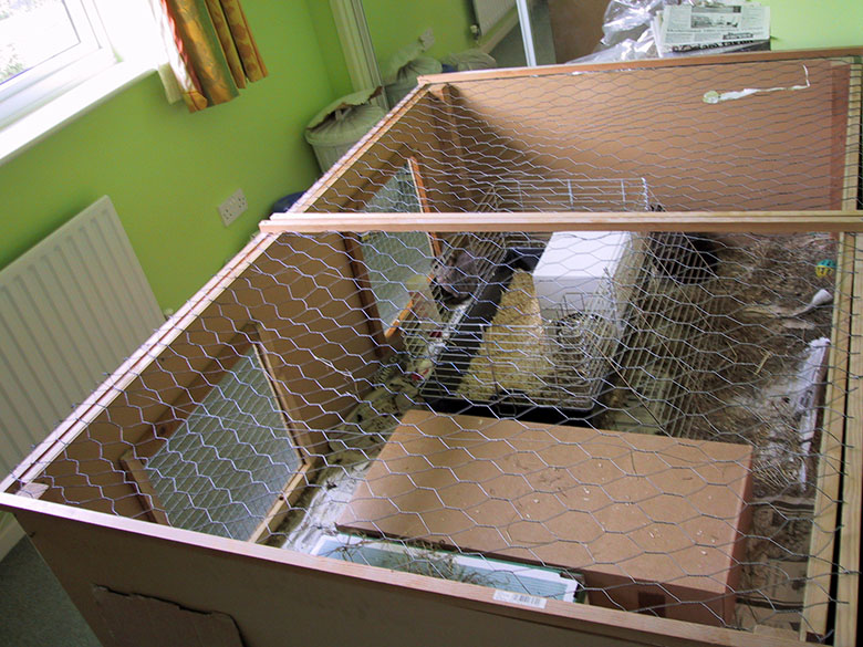 A wire lid for our indoor bunny run