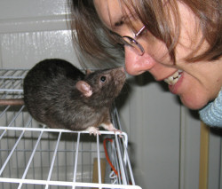 Lindsay and her rat, Cookie